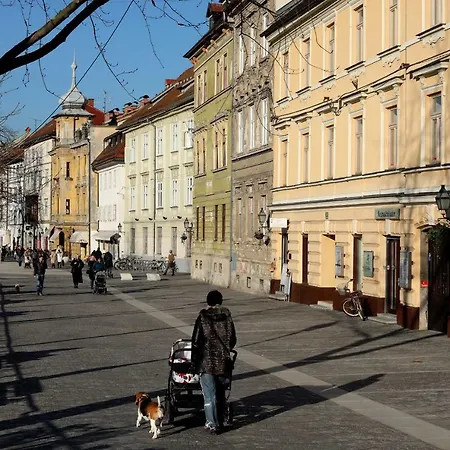 Teddy Bear Lejlighed Ljubljana