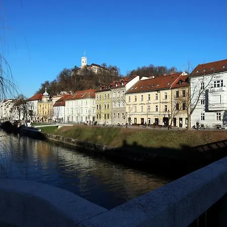 Teddy Bear Ljubljana