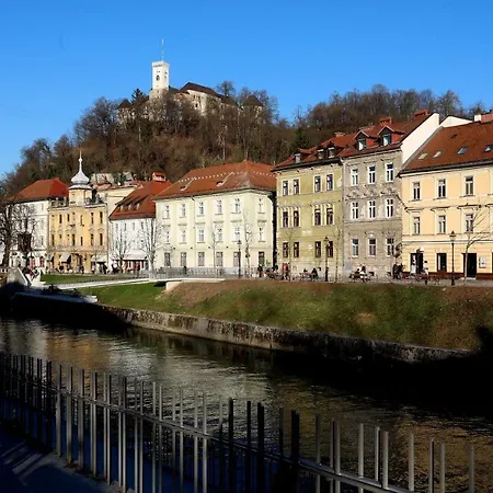 Teddy Bear Ljubljana